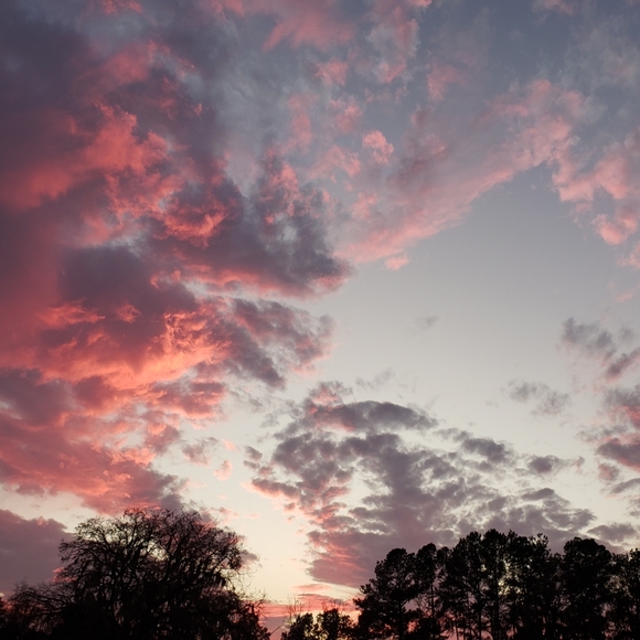 Meet your Posher, Whispering - Picture 5 of 8